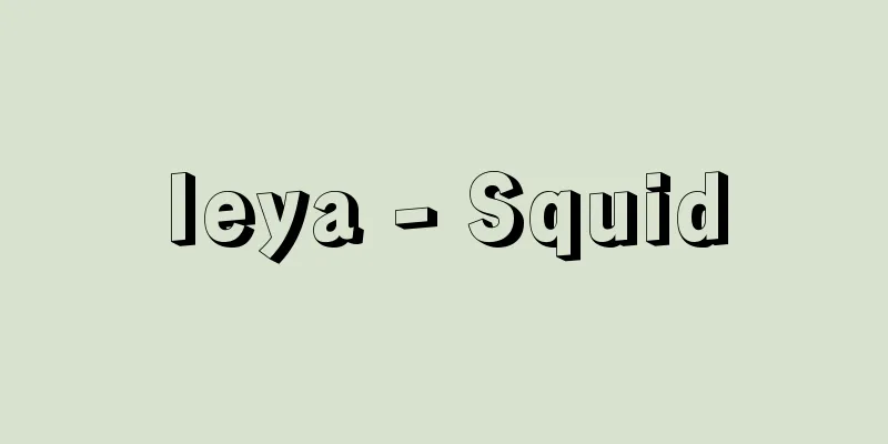 Ieya - Squid