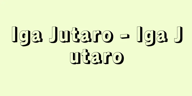 Iga Jutaro - Iga Jutaro