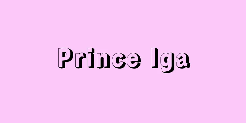 Prince Iga