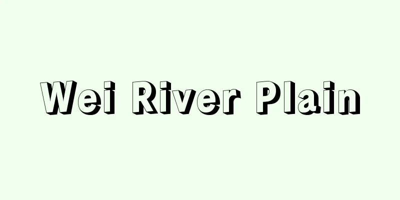 Wei River Plain
