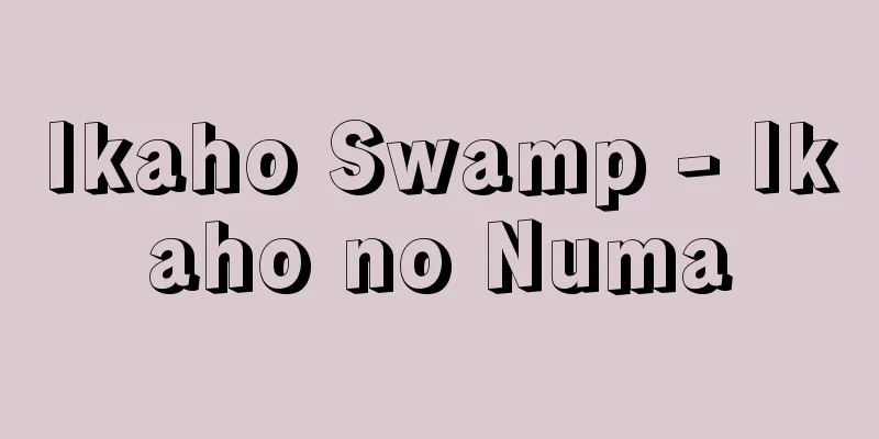 Ikaho Swamp - Ikaho no Numa