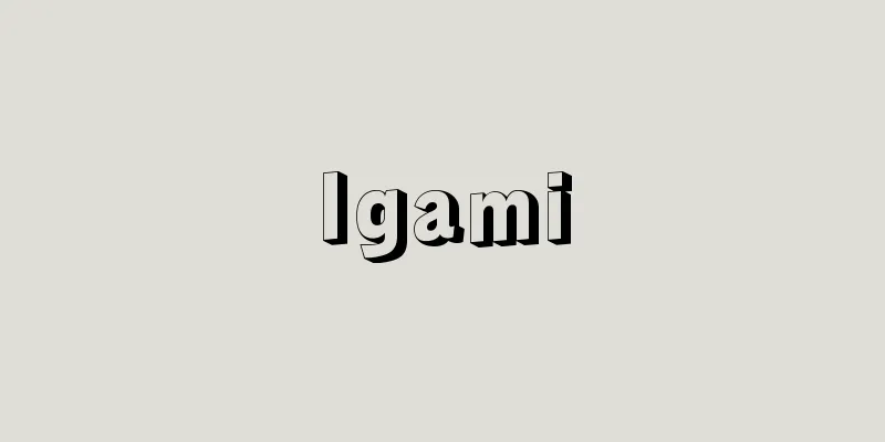 Igami