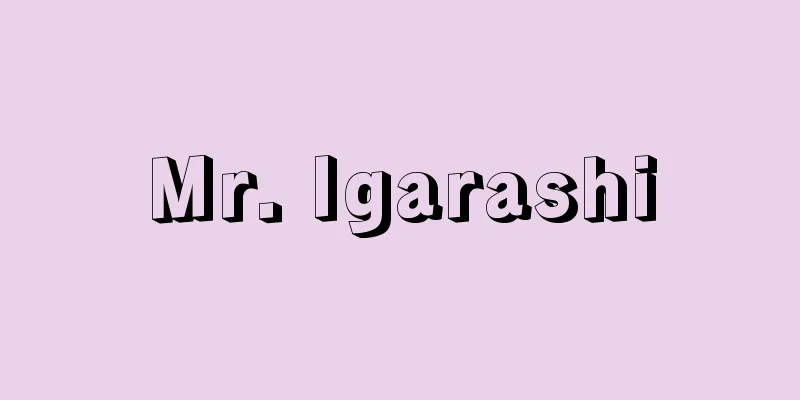 Mr. Igarashi