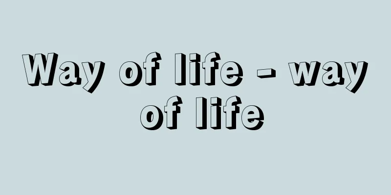Way of life - way of life