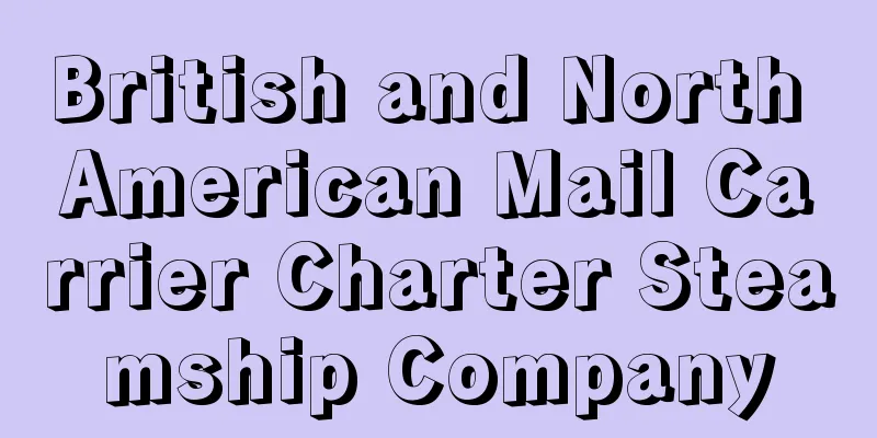 British and North American Mail Carrier Charter Steamship Company