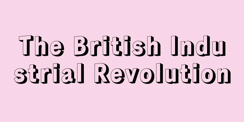 The British Industrial Revolution