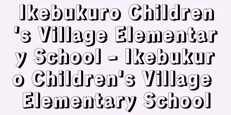 Ikebukuro Children's Village Elementary School - Ikebukuro Children's Village Elementary School