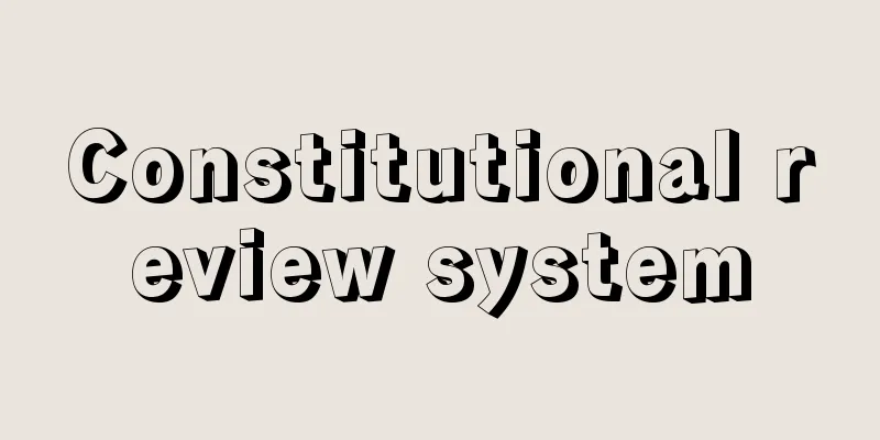Constitutional review system