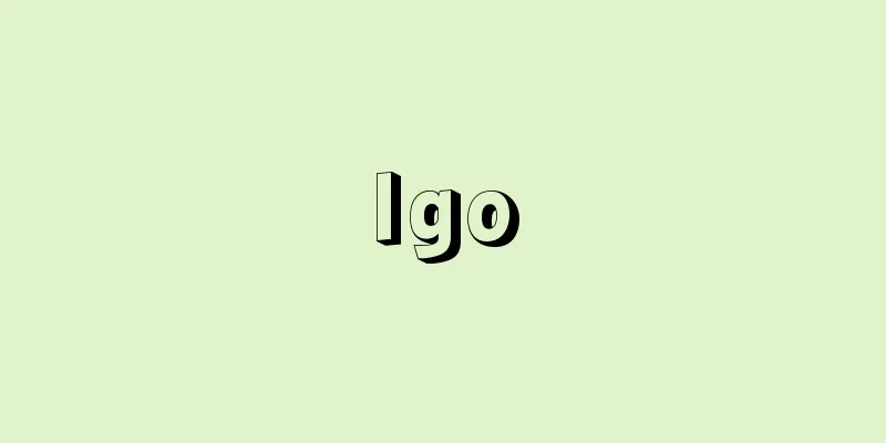 Igo
