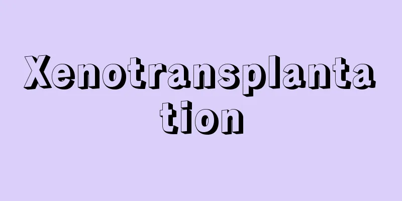 Xenotransplantation