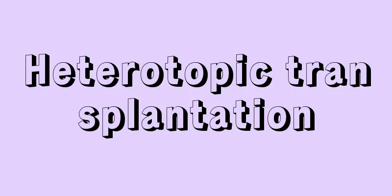 Heterotopic transplantation