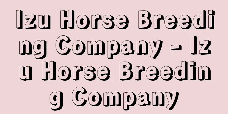 Izu Horse Breeding Company - Izu Horse Breeding Company