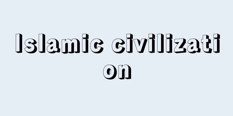 Islamic civilization