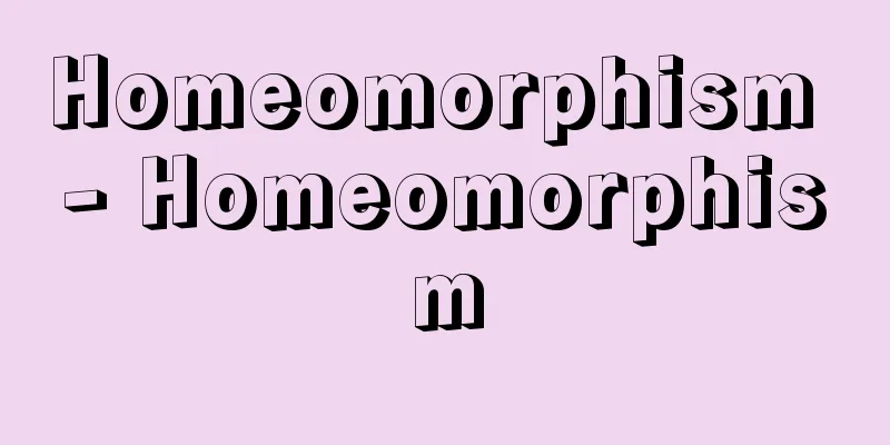 Homeomorphism - Homeomorphism