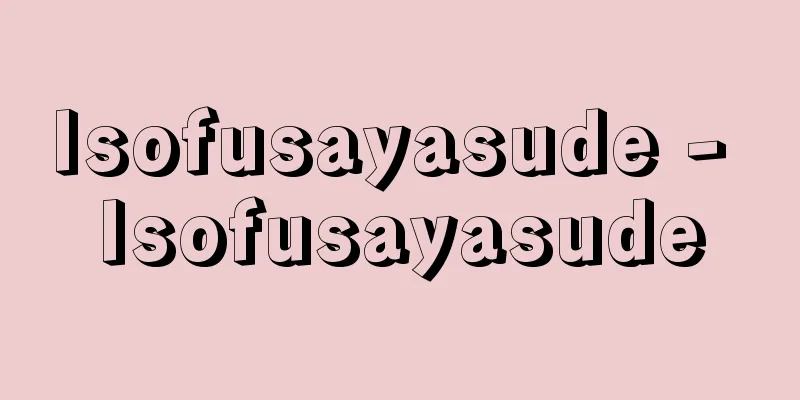 Isofusayasude - Isofusayasude