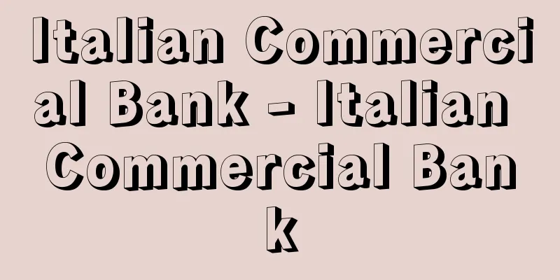 Italian Commercial Bank - Italian Commercial Bank