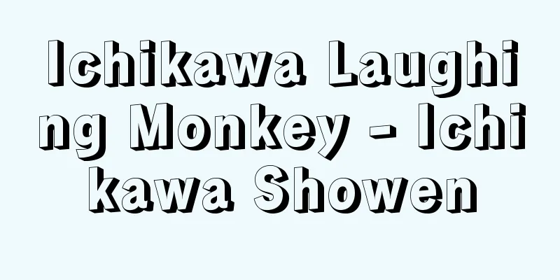 Ichikawa Laughing Monkey - Ichikawa Showen