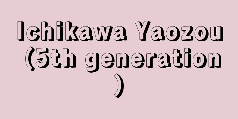 Ichikawa Yaozou (5th generation)
