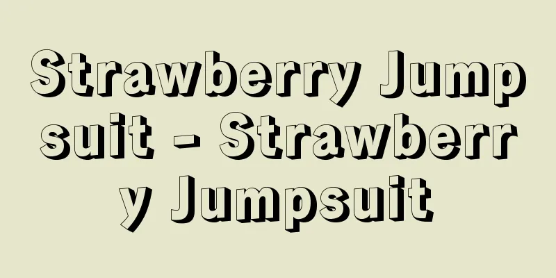 Strawberry Jumpsuit - Strawberry Jumpsuit