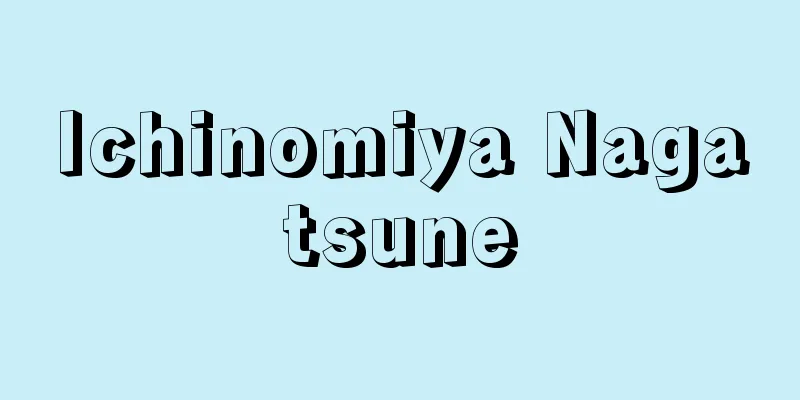 Ichinomiya Nagatsune