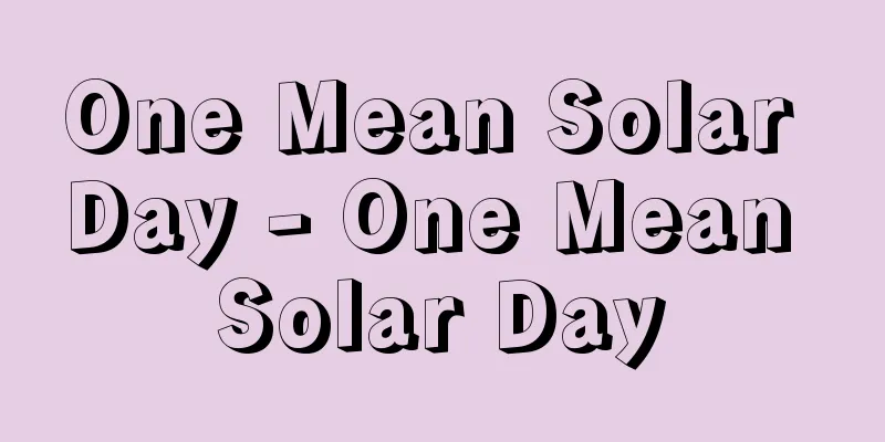 One Mean Solar Day - One Mean Solar Day
