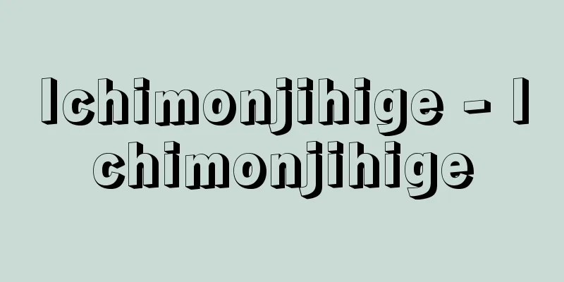 Ichimonjihige - Ichimonjihige