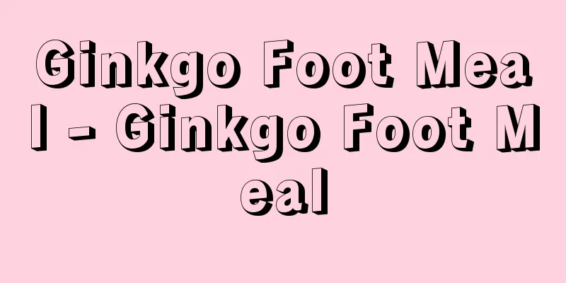 Ginkgo Foot Meal - Ginkgo Foot Meal