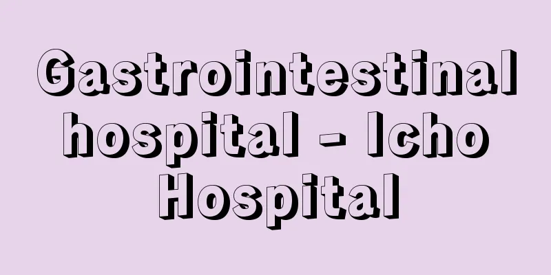 Gastrointestinal hospital - Icho Hospital