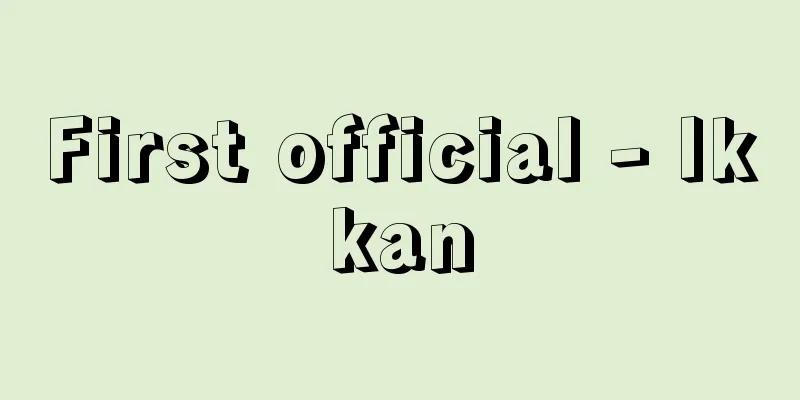 First official - Ikkan