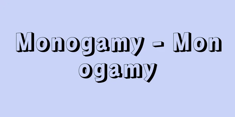 Monogamy - Monogamy