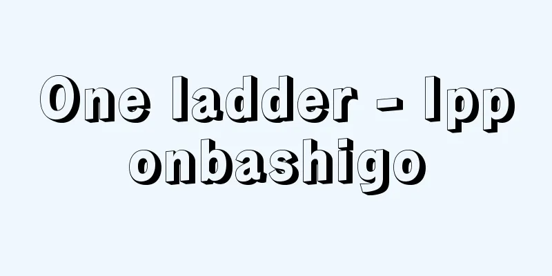 One ladder - Ipponbashigo