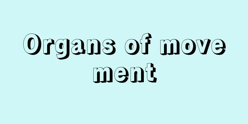 Organs of movement