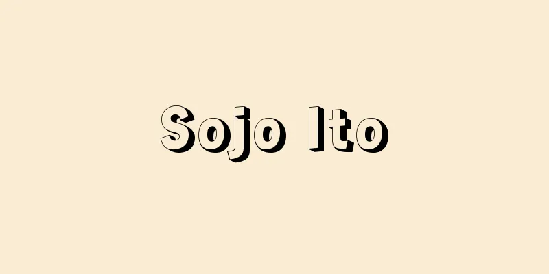 Sojo Ito