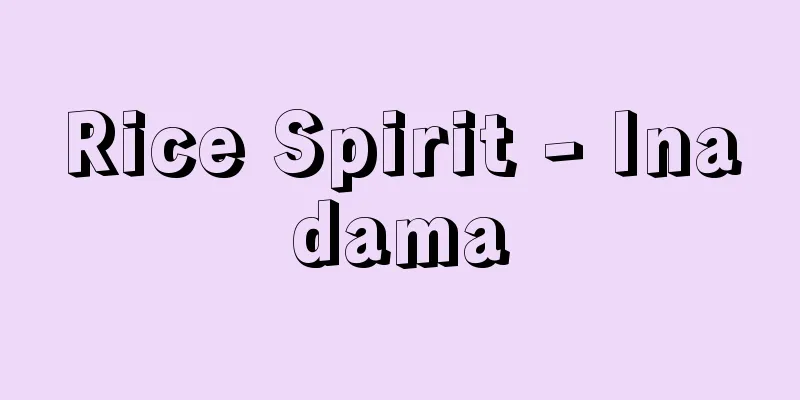 Rice Spirit - Inadama
