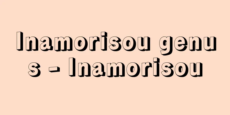 Inamorisou genus - Inamorisou