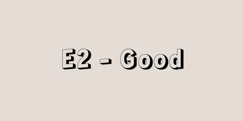 E2 - Good