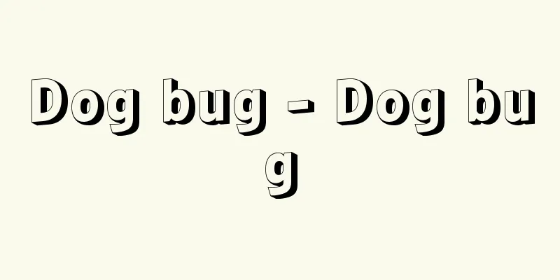 Dog bug - Dog bug