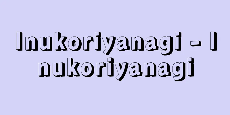 Inukoriyanagi - Inukoriyanagi