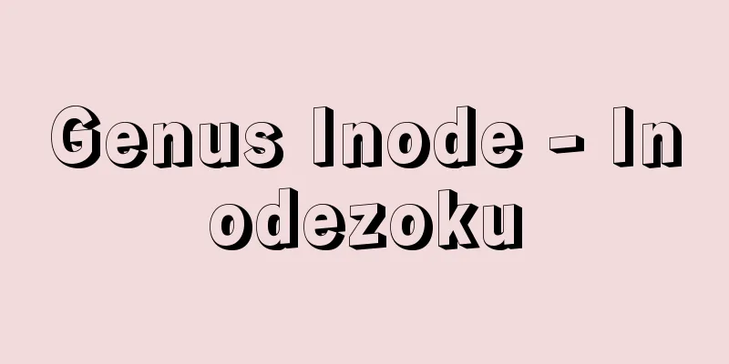 Genus Inode - Inodezoku