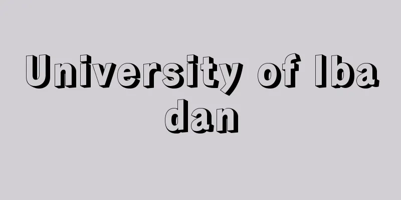 University of Ibadan