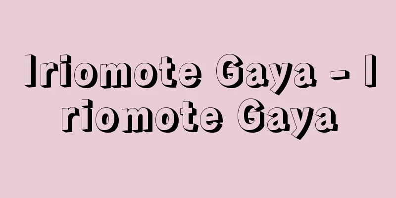 Iriomote Gaya - Iriomote Gaya