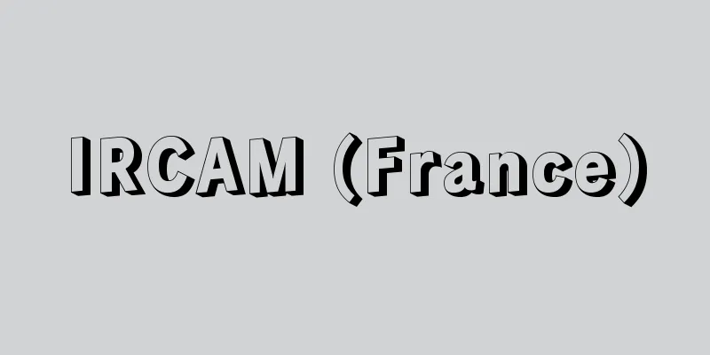 IRCAM (France)