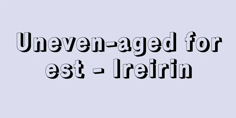 Uneven-aged forest - Ireirin