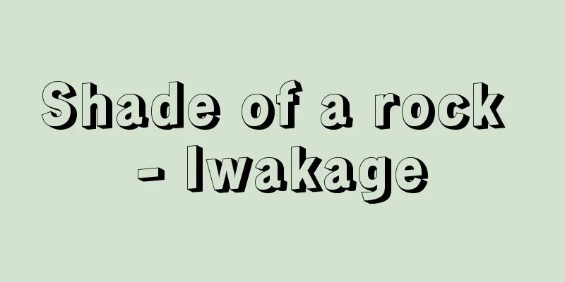 Shade of a rock - Iwakage