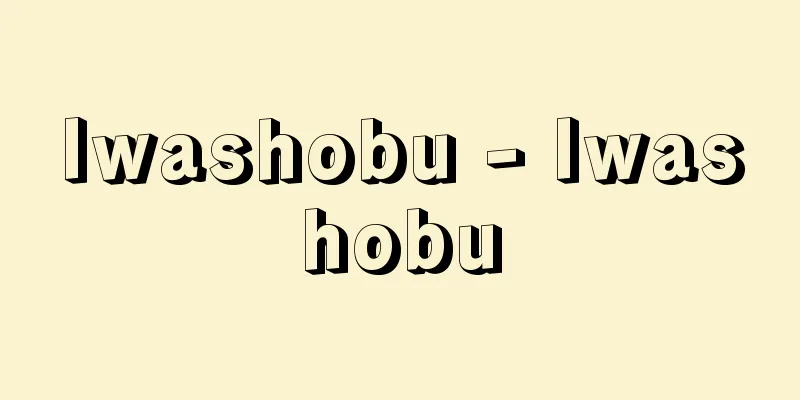 Iwashobu - Iwashobu