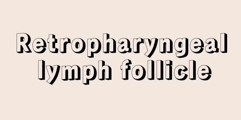 Retropharyngeal lymph follicle