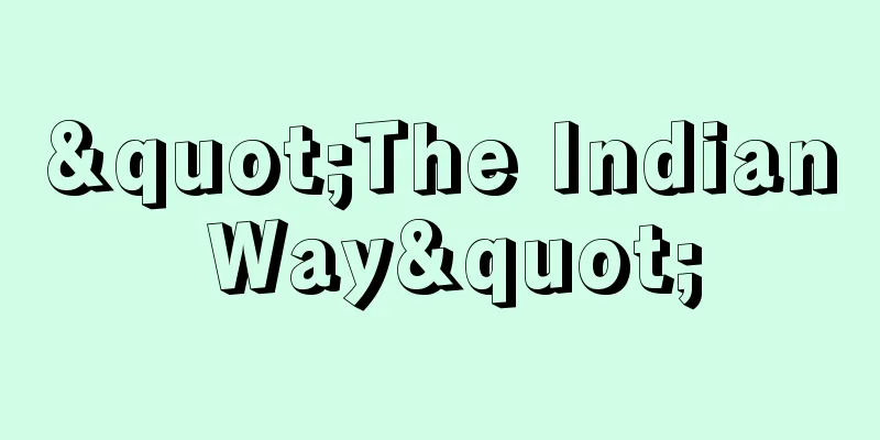 "The Indian Way"