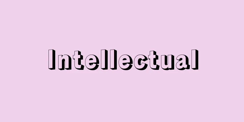 Intellectual