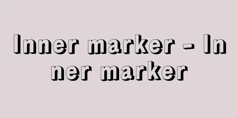 Inner marker - Inner marker