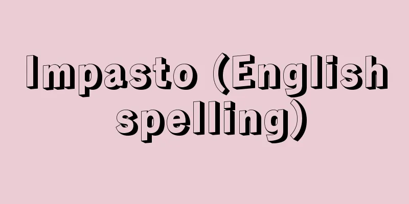 Impasto (English spelling)